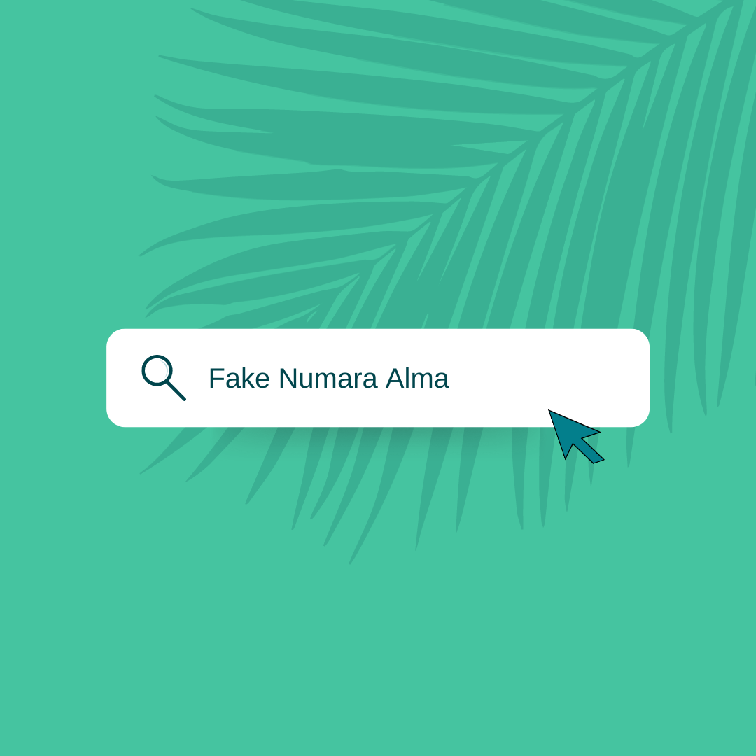 Fake Numara Alma