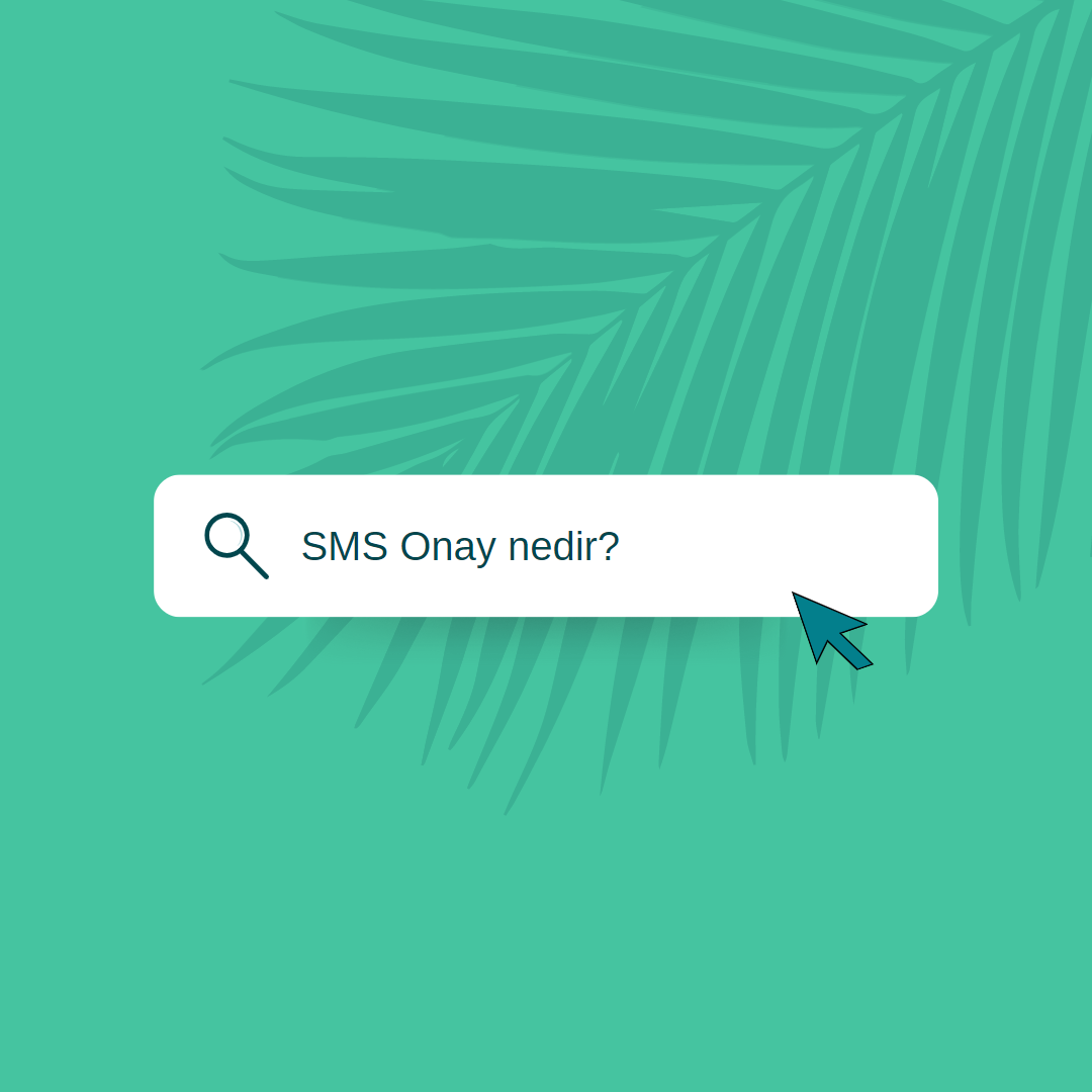 SMS Onay Nedir?